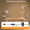 Clip-On Gooseneck Desk Lamp with LED Ring Light in Black